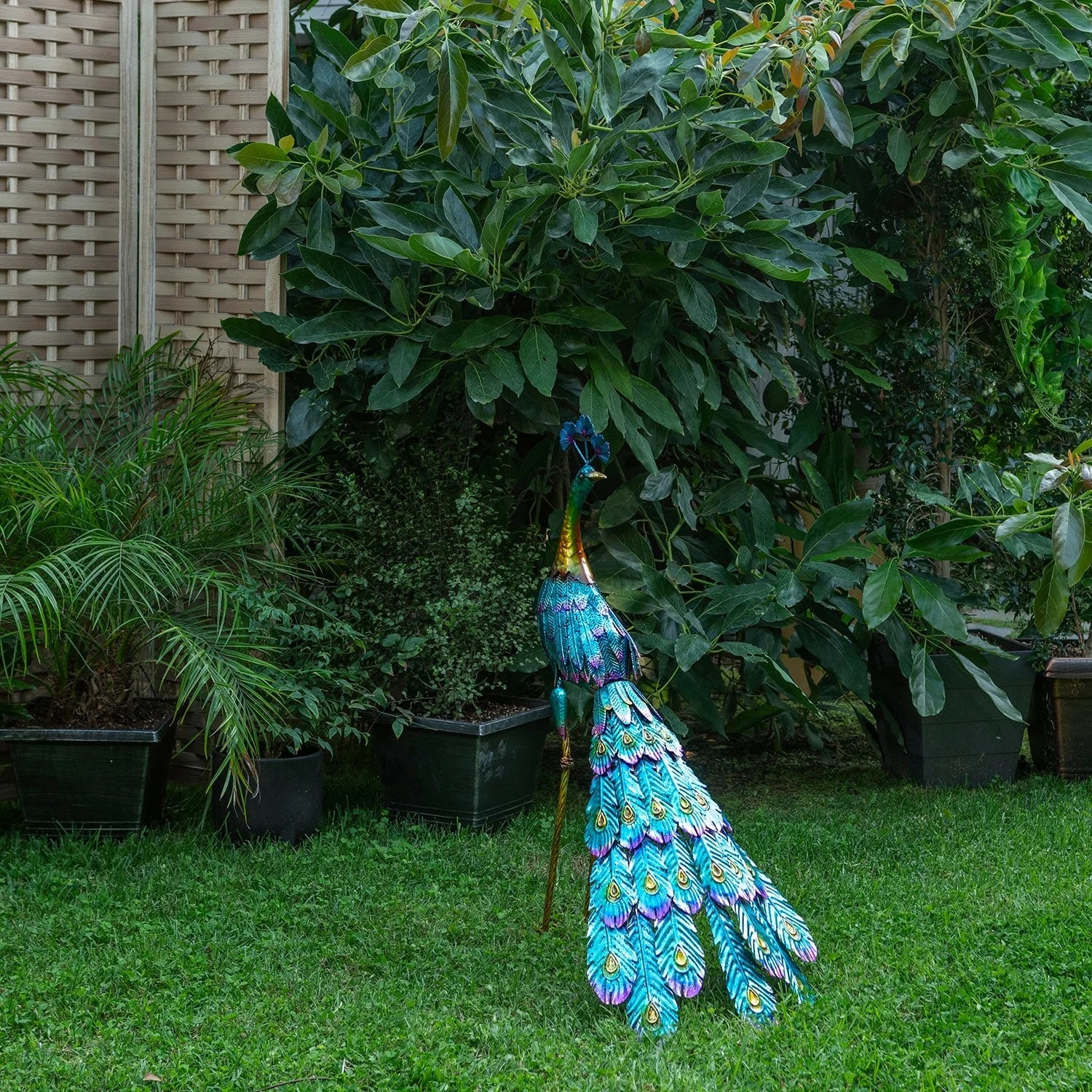 Alpine Corporation Tall Outdoor Metallic Peacock Standing Yard Statue Decoration, Multicolor